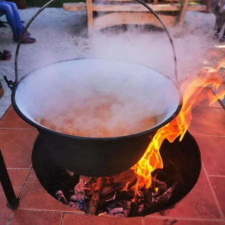 Daire Eveline Haus im Ennstal