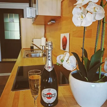 Daire Eveline Haus im Ennstal